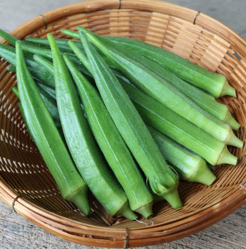 OKRA STAR F1