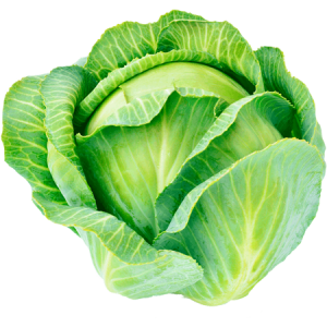WHITE CABBAGE KAGERA F1