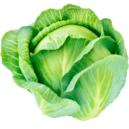 WHITE CABBAGE KAGERA F1