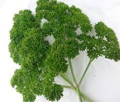 PARSLEY MOSS CURLED